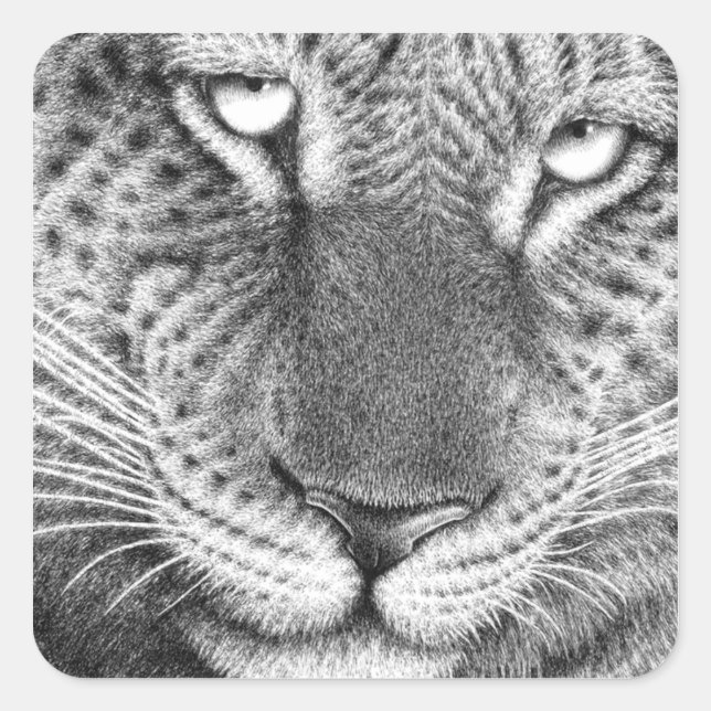 Leopard Sticker (Front)