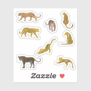 Leopard Stickers
