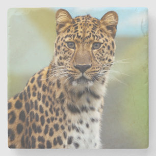 Leopard Stone Coaster