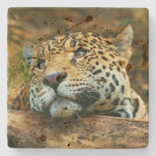 Leopard Stone Coaster