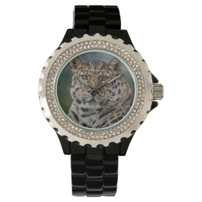 Leopard Thoughts Watch (Front)