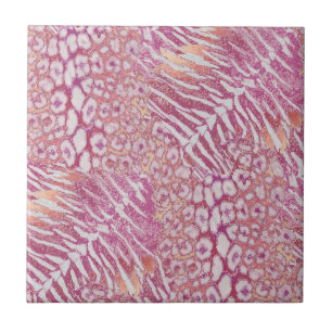Leopard tiger skin trendy tile
