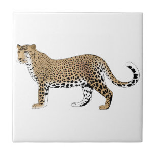 Leopard Tile