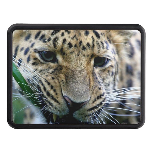 Leopard Trailer Hitch Cover (Front)