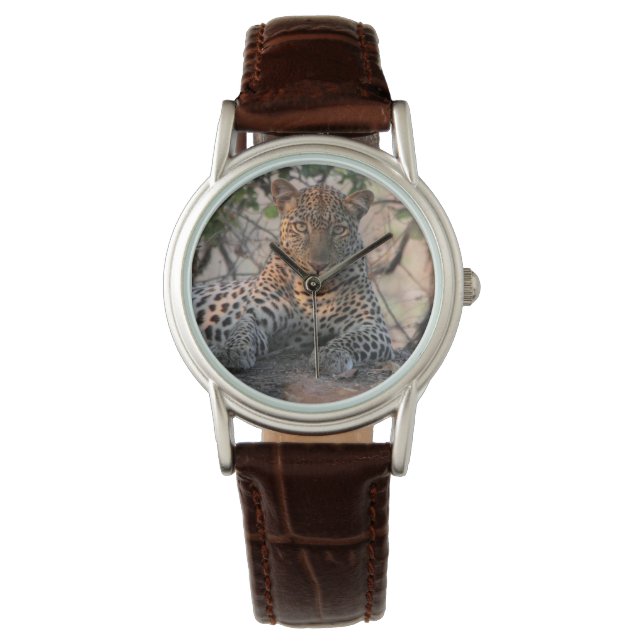 Leopard Watch (Front)