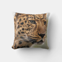 Leopard with Piercing Green Eyes