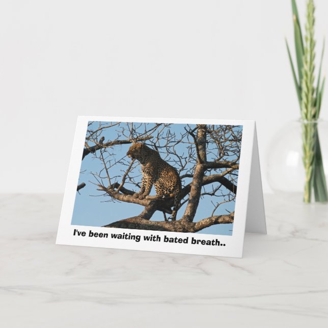 Leopard Yawns While Sitting on a Tree Limb Card (Front)