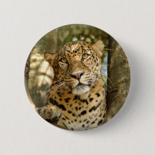 LeopardCheetaro013 2 Inch Round Button