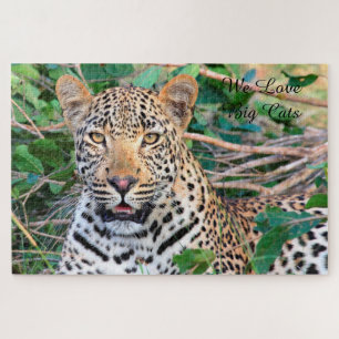 Leopards Big Cats. Jigsaw Puzzle