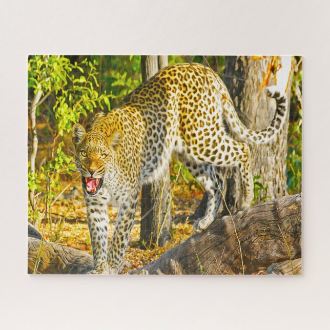 Leopards Big Cats. Jigsaw Puzzle (Horizontal)