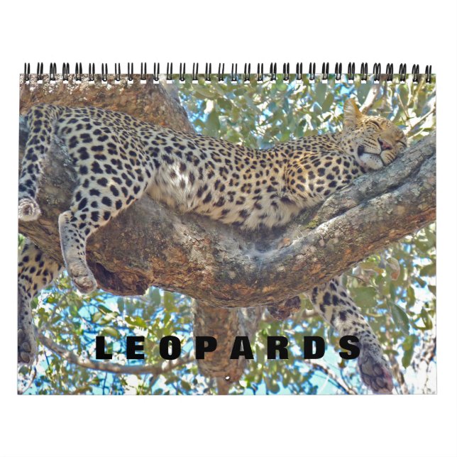 LÉOPARDS - CALENDRIER COMPLET DES LÉOPARDS (Protection)
