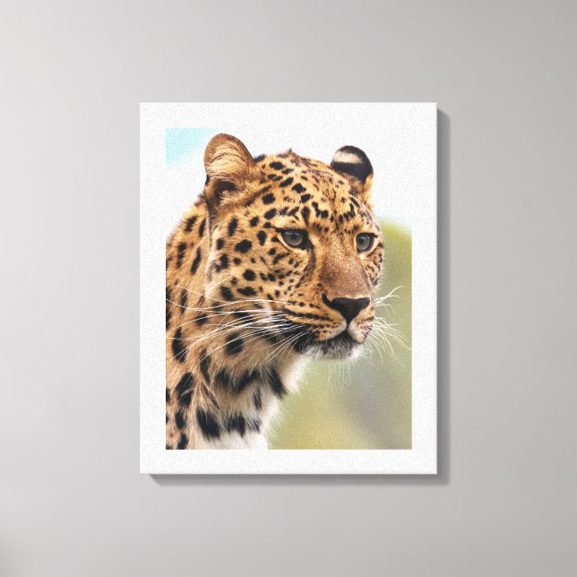 Leopard's Intense Gaze Canvas Print (Front)