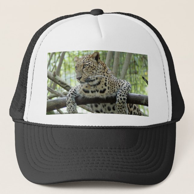 LeopardSundari_006 Trucker Hat (Front)