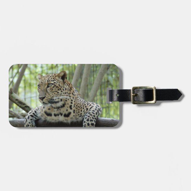 LeopardSundari_007 Luggage Tag (Front Horizontal)