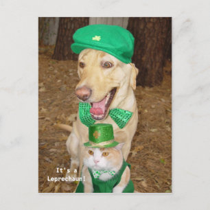 Leprechaun Sighting! Postcard