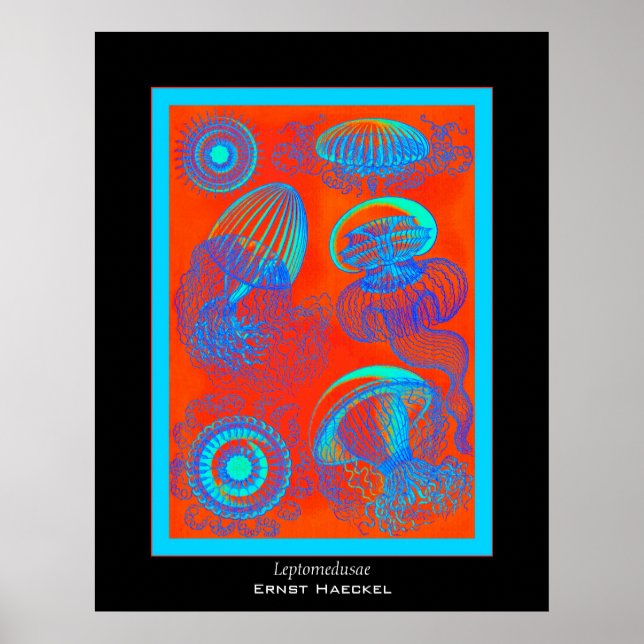Leptomedusae ~ Ernst Haeckel Print (Front)