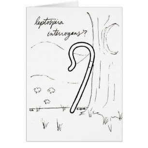 Leptospira Interrogans card
