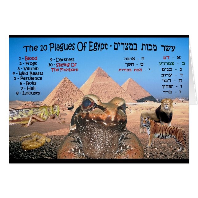 Les 10 Plaies De L'Égypte (Devant horizontal)