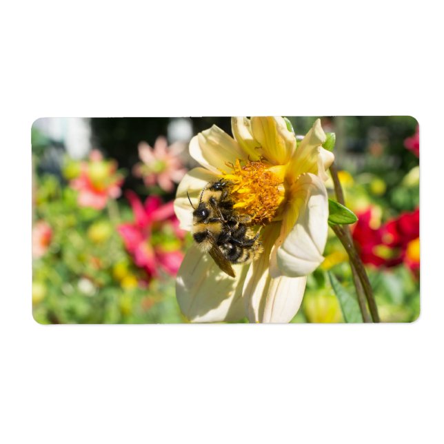 Les abeilles sur une fleur (Devant)
