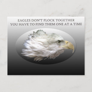 Les aigles ne volent pas ensemble Carte postale