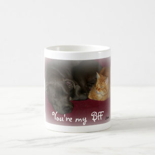Les amis des chiens et des chats pour toujours Mug
