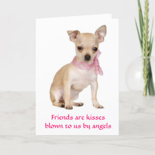Les amis sont Angels Chihuahua Chiot Carte