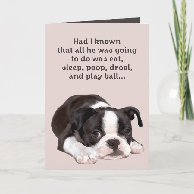 Les amis sont comme la carte de chiens (Devant)