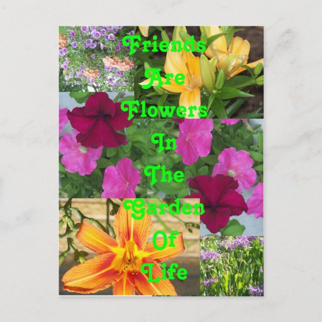 Les amis sont Fleurs ... carte    postalePC78 (Devant)