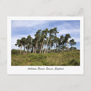 Les Arbres À Apporter Sur La Carte Postale De La F