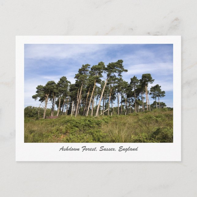 Les Arbres À Apporter Sur La Carte Postale De La F (Devant)