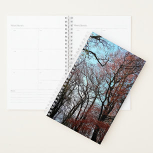 Les arbres d'automne