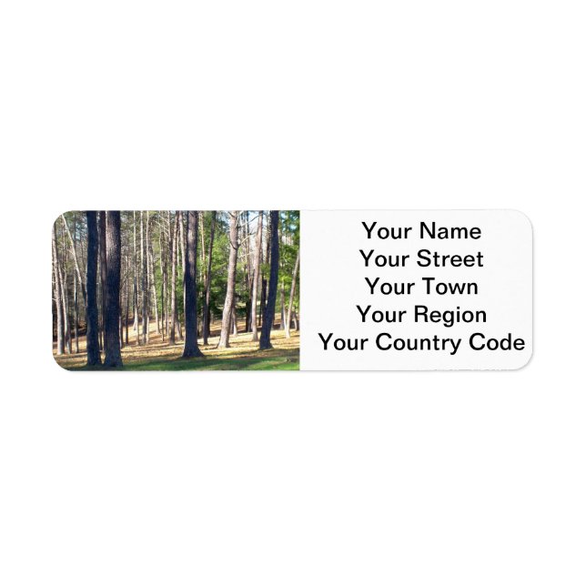 Les arbres du parc (Devant)