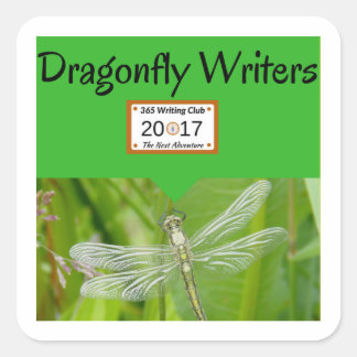 Les autocollants de libellules !