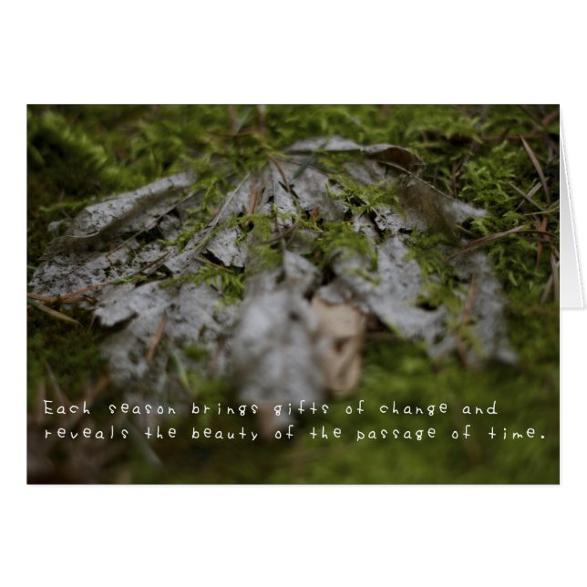 Les aventures Extraordinaires d'Amelia (Devant horizontal)