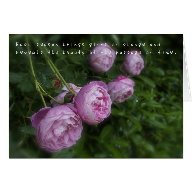 Les aventures Extraordinaires d'Amelia (Devant horizontal)