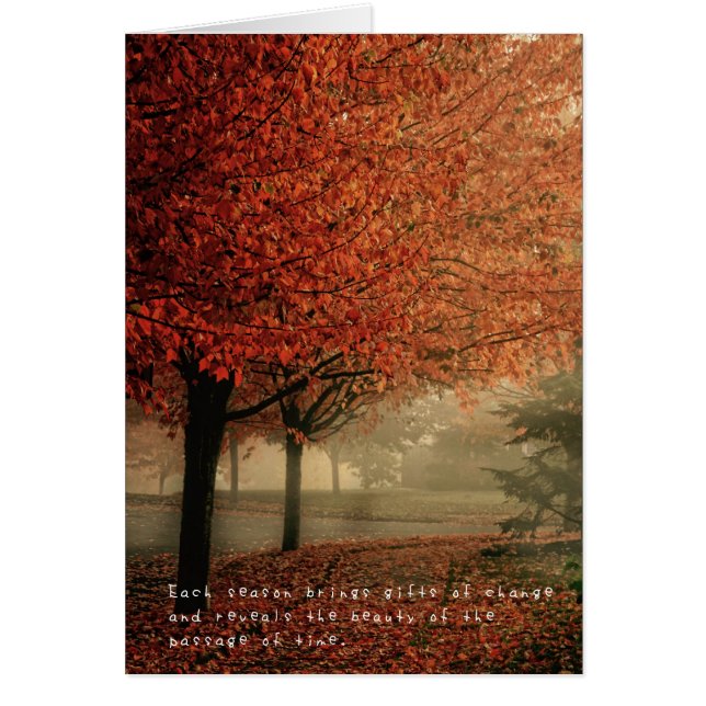 Les aventures extraordinaires d'Amelia (Devant)