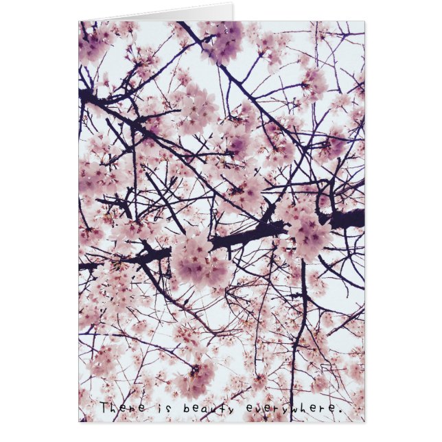 Les aventures extraordinaires d'Amelia (Devant)