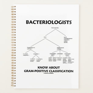 Les bactériologistes connaissent la classificatio
