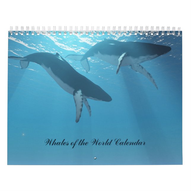 Les baleines du calendrier mondial (Protection)
