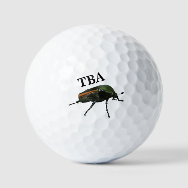 Les balles de golf d'Insect (Recto)