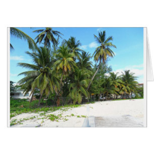 Les Barbade 2010 279