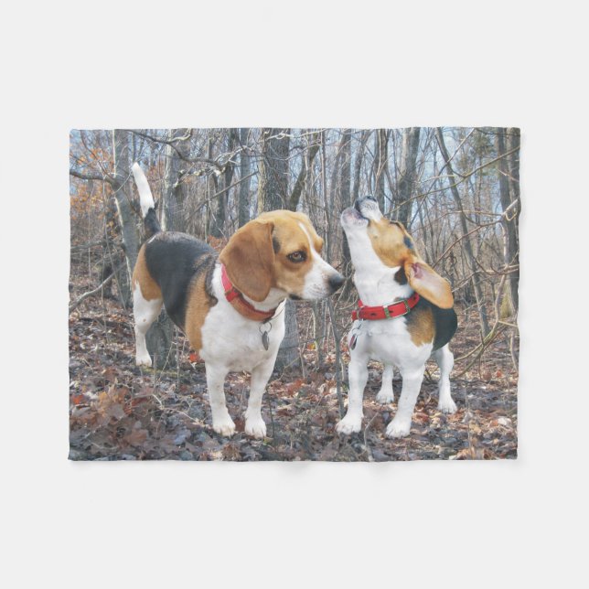 Les beagles d'hurlement dans la couverture (Devant (Horizontal))