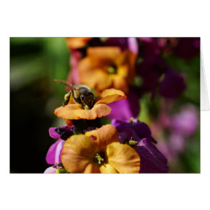 Les Bee-gins du printemps !