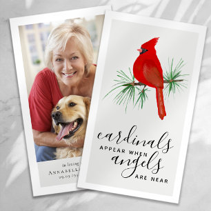 Les Cardinaux Apparaissent Des Anges Près De La Ca