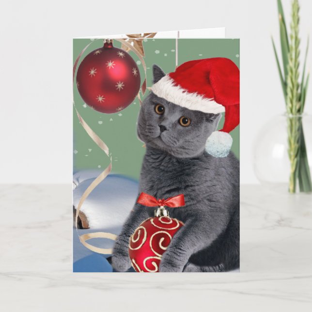 Les Cartes de jeux de Gray Cat (Devant)