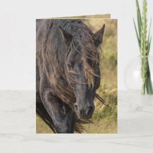 Les cartes de voeux Mane de Stallion de Wild Sable