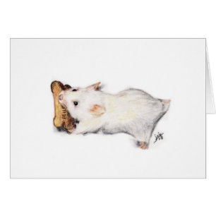 Les cartes de voleur d'os (hamster)