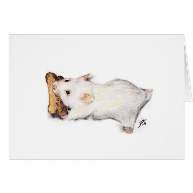 Les Cartes Du Voleur D'Os (Hamster) (Devant horizontal)