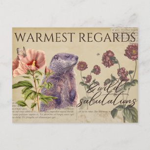 Les cartes postales de style Vintage Woodchuck les