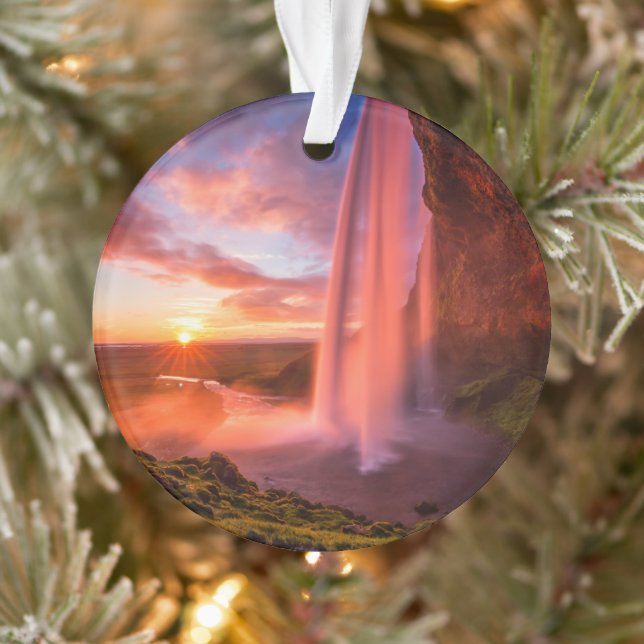 Les cascades | Cascade de Seljalandsfoss (Arbre)